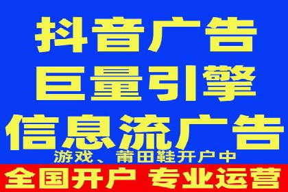 百度竞价与搜索引擎优化（SEO）结合的经典案例